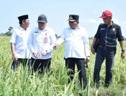 Bupati Kapuas Tegaskan Pentingnya Infrastruktur Jalan untuk Dukung Pertanian di Bataguh