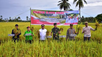 Bupati Kapuas Laksanakan Panen Raya di Lahan Seluas 2.400 Hektare