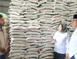 Bupati Kobar turun ke pasar pantau ketersediaan bahan pokok jelang Lebaran